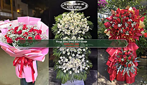 Shop Hoa Tươi Nho Quan - Huyện Nho Quan (Cũ)