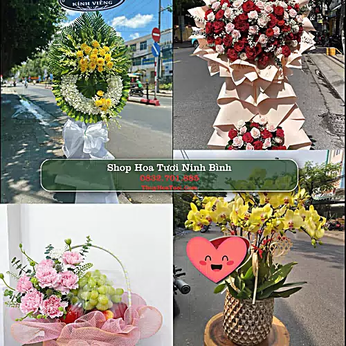Shop Hoa Tươi Ninh Bình - Điện Hoa Giao Tận Nơi