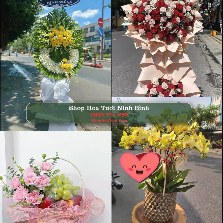 Shop Hoa Tươi Ninh Bình - Điện Hoa Giao Tận Nơi