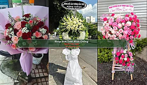 Shop Hoa Tươi Ninh Cường - Huyện Trực Ninh (Cũ)