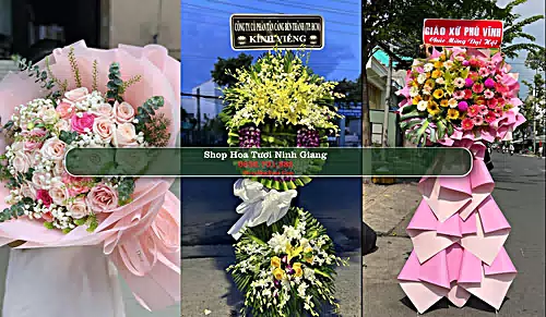 Shop Hoa Tươi Ninh Giang - Huyện Ninh Giang (Cũ)