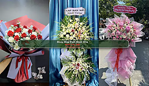 Shop Hoa Tươi Ninh Hòa - Khánh Hòa (Cũ)