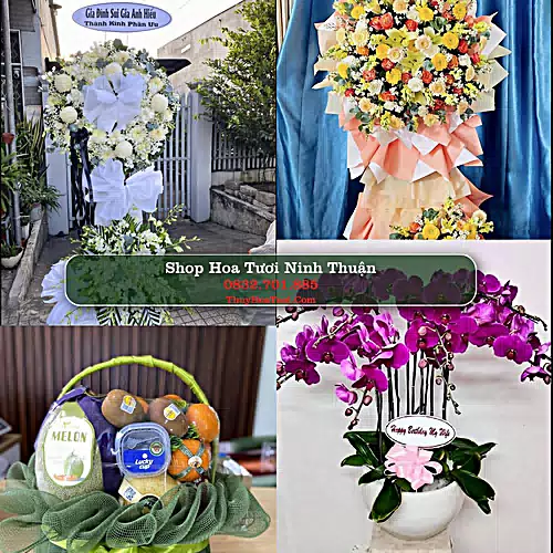 Đặt Hoa Tươi Ninh Thuận - Giao Nhanh Tận Nơi
