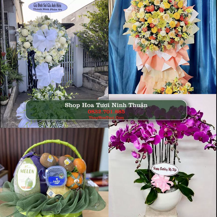 Đặt Hoa Tươi Ninh Thuận - Giao Nhanh Tận Nơi
