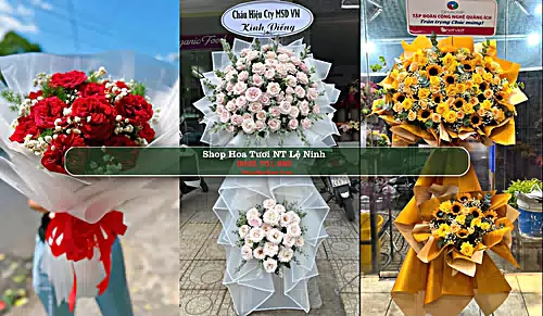 Shop Hoa Tươi NT Lệ Ninh - Huyện Lệ Thủy (Cũ)