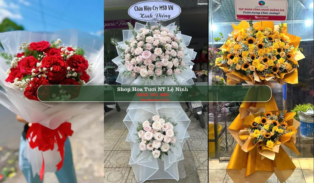 Shop Hoa Tươi NT Lệ Ninh - Huyện Lệ Thủy (Cũ)