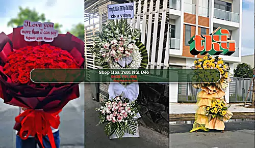 Shop Hoa Tươi Núi Đèo - Huyện Thuỷ Nguyên (Cũ)