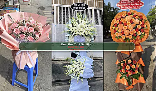 Shop Hoa Tươi Núi Sập - Huyện Thoại Sơn (Cũ)