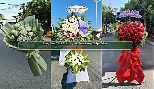 Shop Hoa Tươi Thành phố Phan Rang-Tháp Chàm - Ninh Thuận (Cũ)