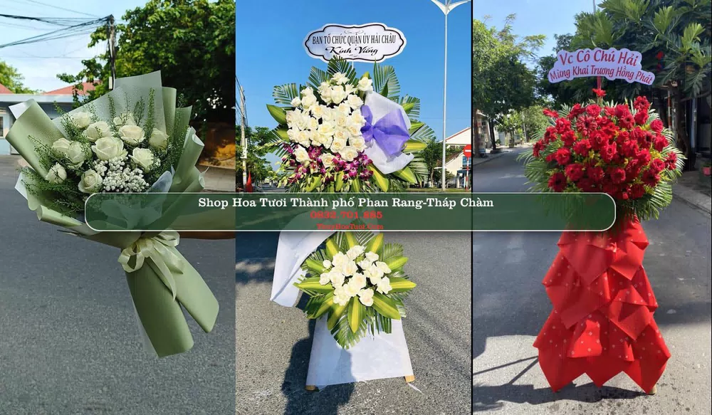 Shop Hoa Tươi Thành phố Phan Rang-Tháp Chàm - Ninh Thuận (Cũ)