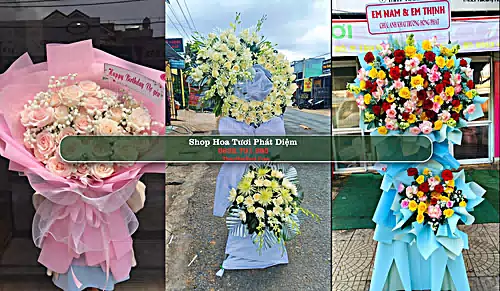 Shop Hoa Tươi Phát Diệm - Huyện Kim Sơn (Cũ)