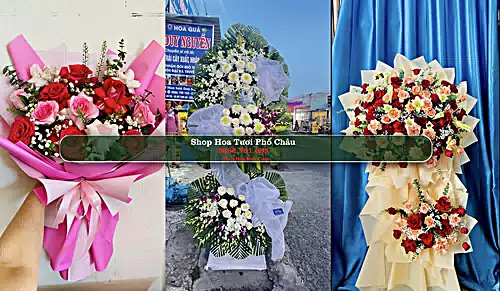 Shop Hoa Tươi Phố Châu - Huyện Hương Sơn (Cũ)