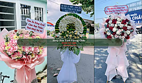 Shop Hoa Tươi Phong Châu - Huyện Phù Ninh (Cũ)