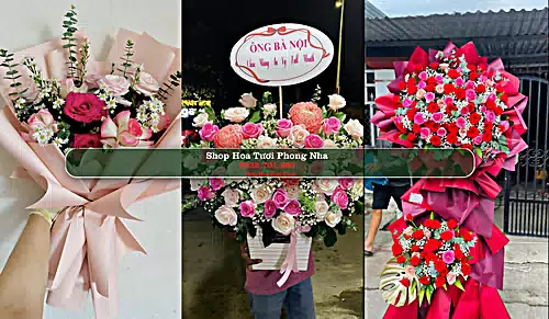 Shop Hoa Tươi Phong Nha - Huyện Bố Trạch (Cũ)