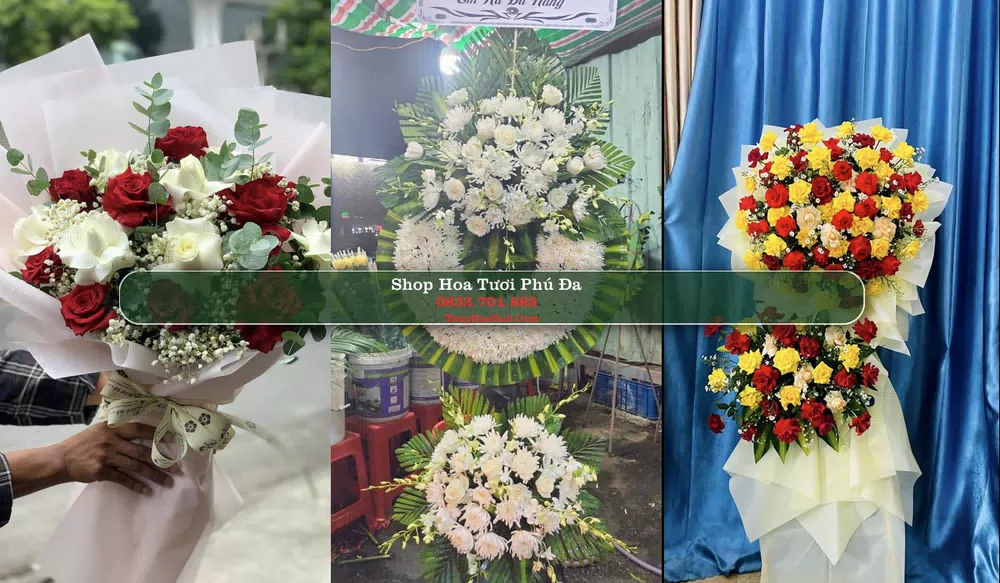 Shop Hoa Tươi Phú Đa - Huyện Phú Vang (Cũ)