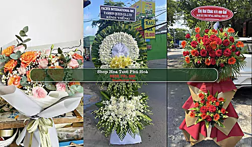 Shop Hoa Tươi Phú Hoà - Huyện Thoại Sơn (Cũ)