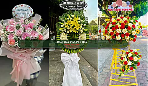 Shop Hoa Tươi Phú Hoà - Huyện Phú Hoà (Cũ)