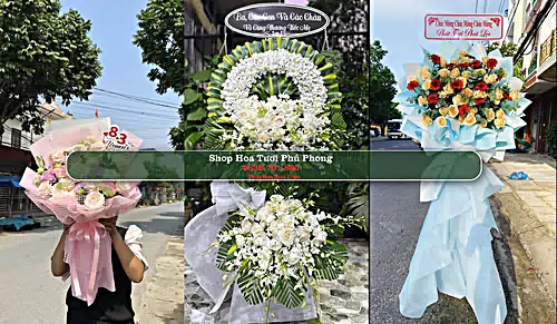 Shop Hoa Tươi Phú Phong - Huyện Tây Sơn (Cũ)
