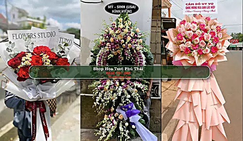 Shop Hoa Tươi Phú Thái - Huyện Kim Thành (Cũ)