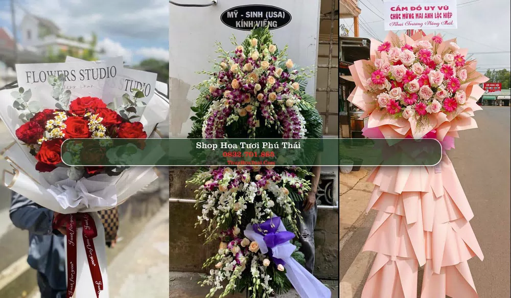 Shop Hoa Tươi Phú Thái - Huyện Kim Thành (Cũ)