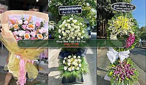 Shop Hoa Tươi Phú Thọ - Phú Thọ (Cũ)