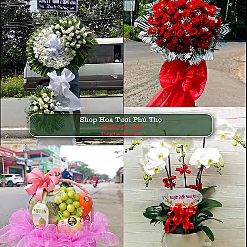 Shop Hoa Tươi Phú Thọ - Hoa Đẹp Cho Mọi Dịp