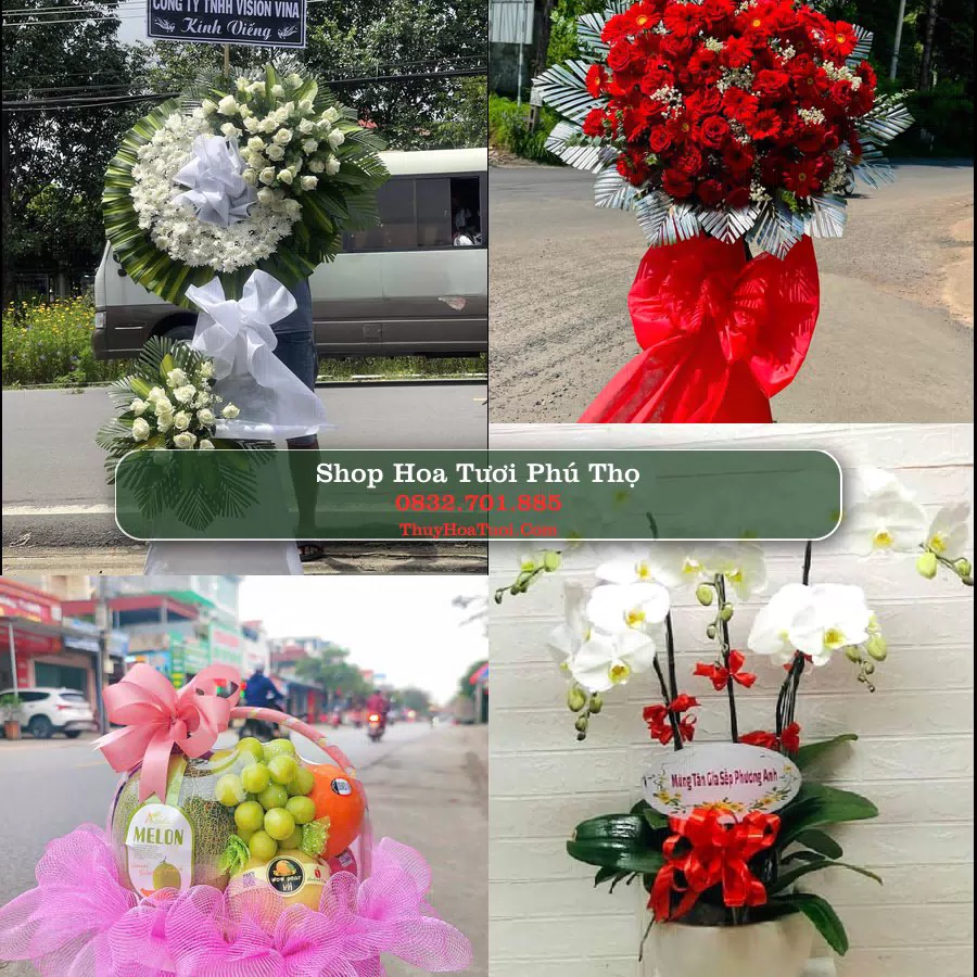 Shop Hoa Tươi Phú Thọ - Hoa Đẹp Cho Mọi Dịp