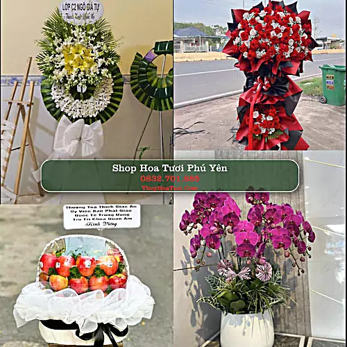 Shop Hoa Tươi Phú Yên