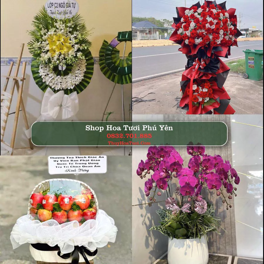 Shop Hoa Tươi Phú Yên