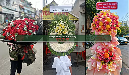Shop Hoa Tươi Phúc Thọ - Huyện Phúc Thọ (Cũ)