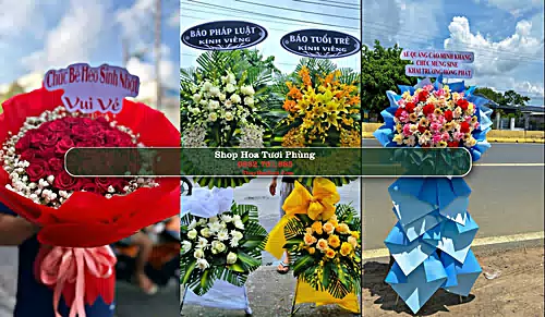 Shop Hoa Tươi Phùng - Huyện Đan Phượng (Cũ)