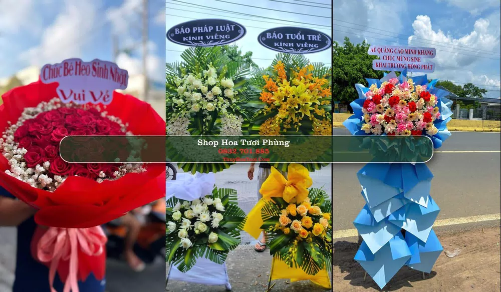 Shop Hoa Tươi Phùng - Huyện Đan Phượng (Cũ)