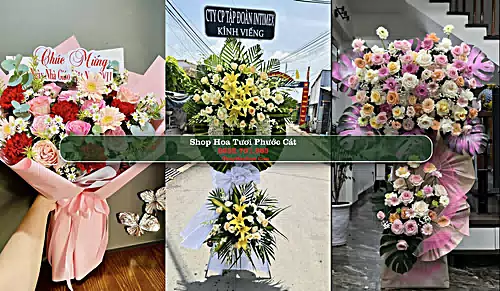 Shop Hoa Tươi Phước Cát - Huyện Cát Tiên (Cũ)