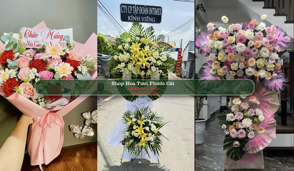 Shop Hoa Tươi Phước Cát - Huyện Cát Tiên (Cũ)