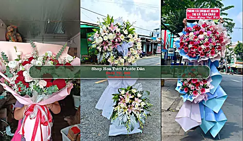 Shop Hoa Tươi Phước Dân - Huyện Ninh Phước (Cũ)