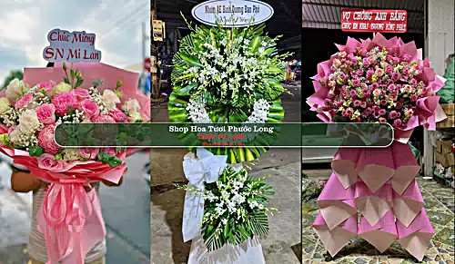 Shop Hoa Tươi Phước Long - Bình Phước (Cũ)