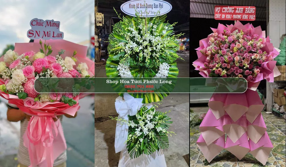 Shop Hoa Tươi Phước Long - Bình Phước (Cũ)