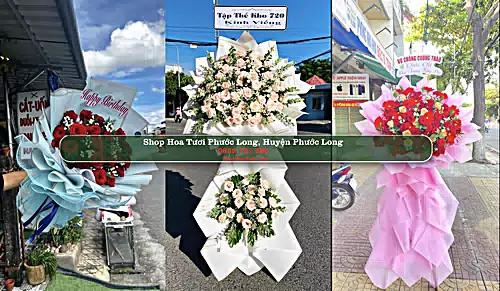 Shop Hoa Tươi Phước Long - Huyện Phước Long (Cũ)