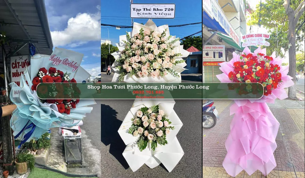 Shop Hoa Tươi Phước Long - Huyện Phước Long (Cũ)