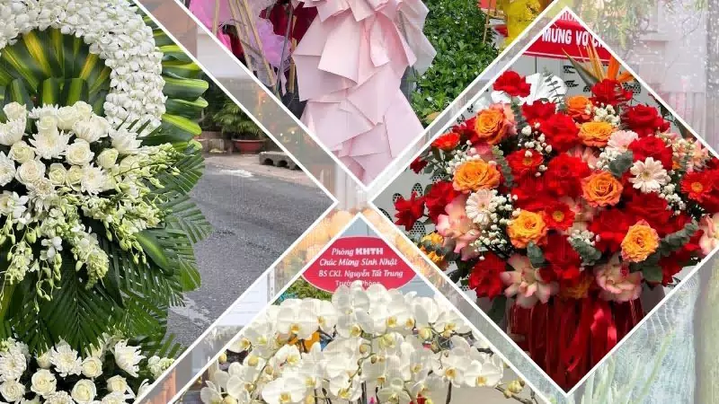 Shop Hoa Tươi Phường Phú Thọ Hòa - Thành phố Hồ Chí Minh