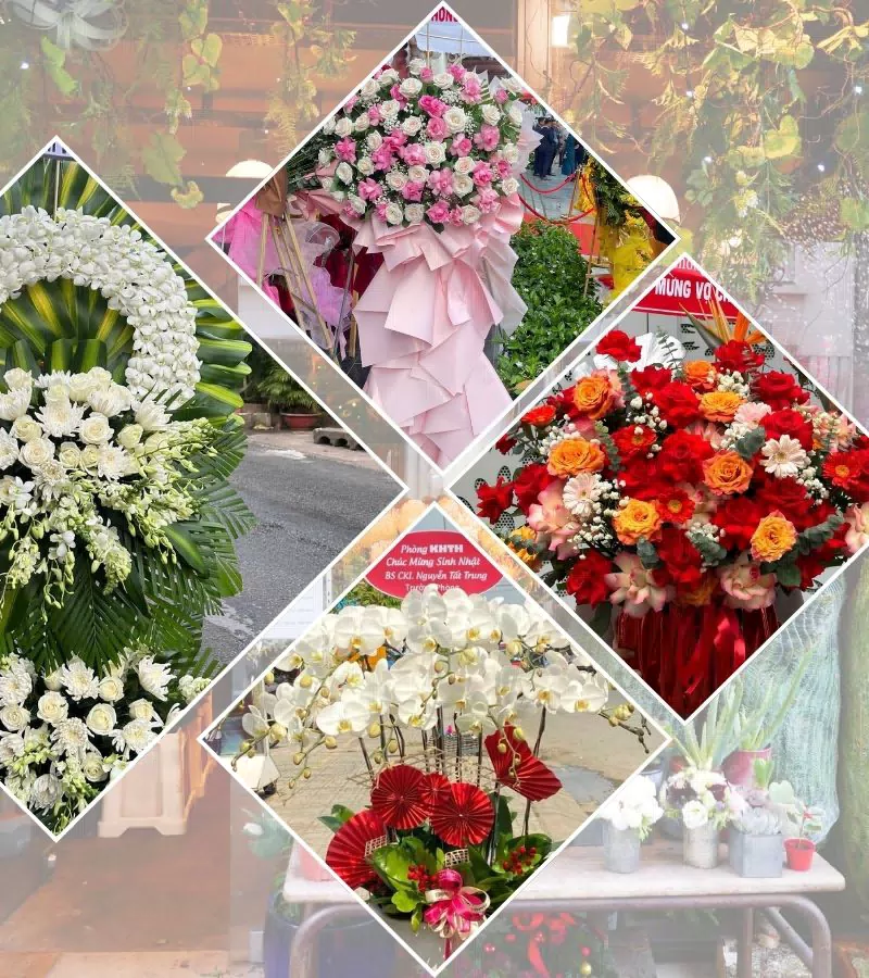 Shop Hoa Tươi Phường Phú Thọ Hòa - Thành phố Hồ Chí Minh