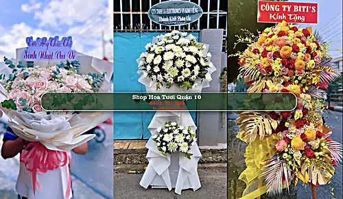 Shop Hoa Tươi Quận 10 - Thành phố Hồ Chí Minh (Cũ)