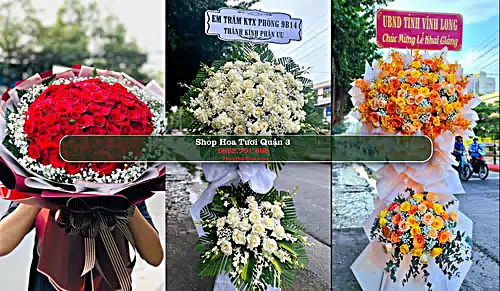 Shop Hoa Tươi Quận 3 - Thành phố Hồ Chí Minh (Cũ)