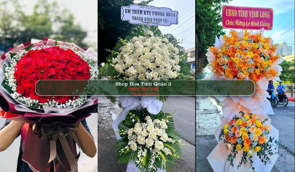 Shop Hoa Tươi Quận 3 - Thành phố Hồ Chí Minh (Cũ)