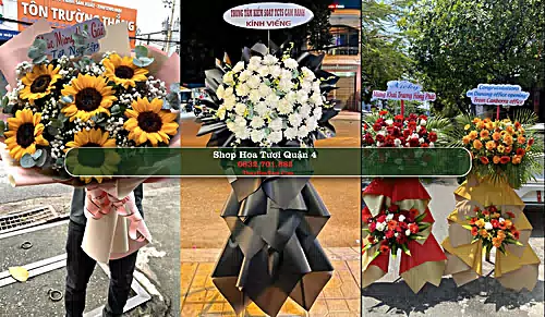 Shop Hoa Tươi Quận 4 - Thành phố Hồ Chí Minh (Cũ)