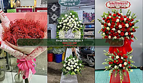 Shop Hoa Tươi Quận 5 - Thành phố Hồ Chí Minh (Cũ)