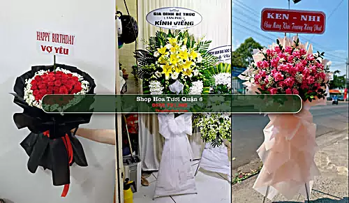 Shop Hoa Tươi Quận 6 - Thành phố Hồ Chí Minh (Cũ)