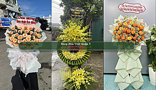 Shop Hoa Tươi Quận 7 - Thành phố Hồ Chí Minh (Cũ)
