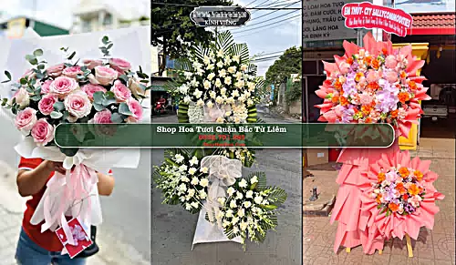 Shop Hoa Tươi Quận Bắc Từ Liêm - Thành phố Hà Nội (Cũ)
