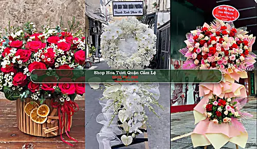 Shop Hoa Tươi Quận Cẩm Lệ - Thành phố Đà Nẵng (Cũ)
